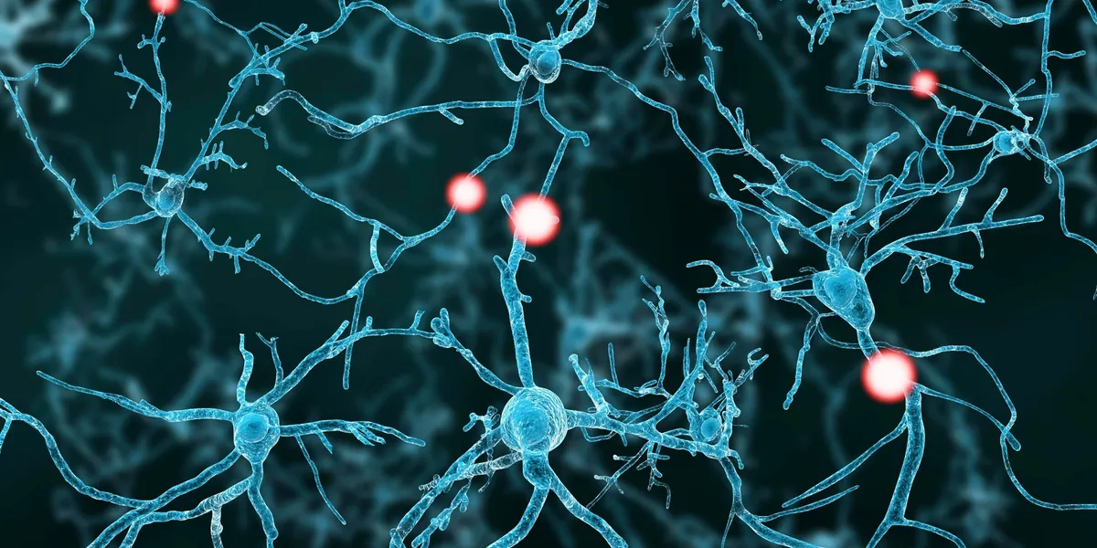 neurons image