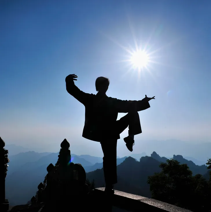 person doing tai chi silhouette